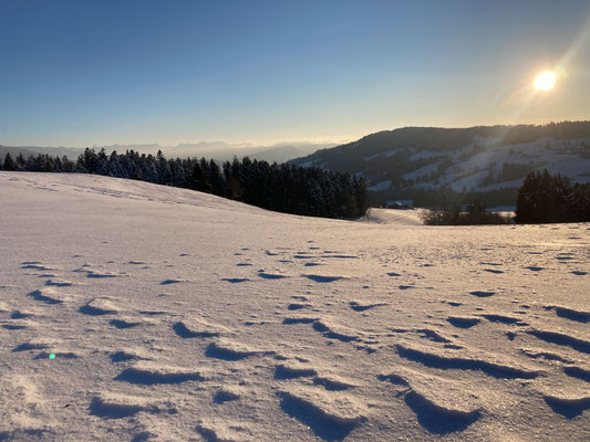 Aha-Erlebnis - Schneeschuhe selber bauen