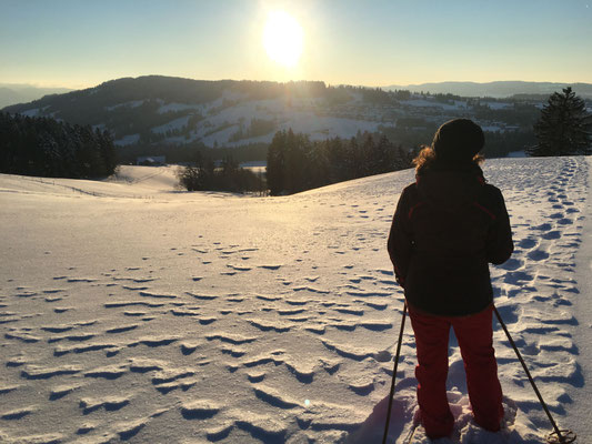 Aha-Erlebnis - Schneeschuhe selber bauen