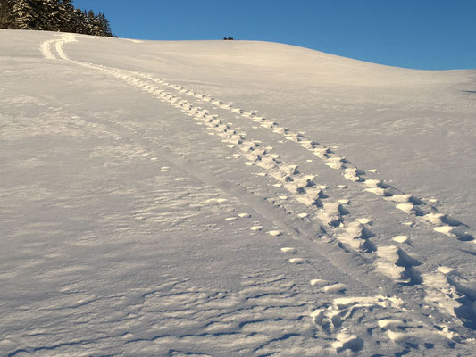 Aha-Erlebnis - Schneeschuhe selber bauen