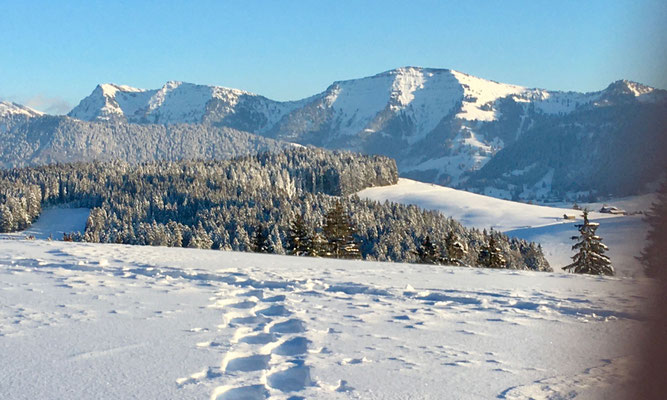 Aha-Erlebnis - Schneeschuhe selber bauen